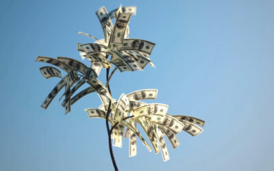 Blog 8 Mastering Cash Flow Management